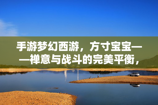 手游梦幻西游,方寸宝宝——禅意与战斗的完美平衡,佛门灵犀的指尖传奇 手游梦幻西游,方寸宝宝——禅意与战斗的完美平衡,佛门灵犀的指尖传奇