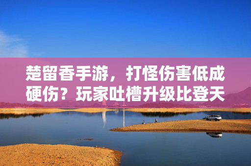 楚留香手游,打怪伤害低成硬伤?玩家吐槽升级比登天还难 楚留香手游,打怪伤害低成硬伤?玩家吐槽升级比登天还难