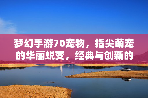 梦幻手游70宠物,指尖萌宠的华丽蜕变,经典与创新的完美融合 梦幻手游70宠物,指尖萌宠的华丽蜕变,经典与创新的完美融合