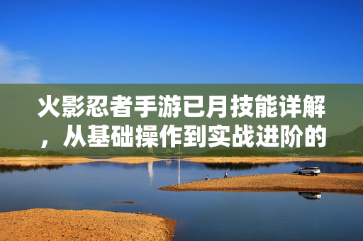 火影忍者手游已月技能详解，从基础操作到实战进阶的全面解析