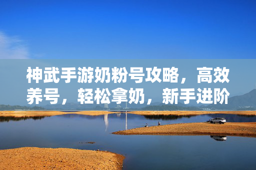 神武手游奶粉号攻略,高效养号,轻松拿奶,新手进阶指南 神武手游奶粉号攻略,高效养号,轻松拿奶,新手进阶指南
