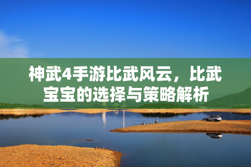 神武4手游比武风云,比武宝宝的选择与策略解析 神武4手游比武风云,比武宝宝的选择与策略解析