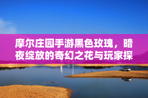摩尔庄园手游黑色玫瑰，暗夜绽放的奇幻之花与玩家探索的乐趣