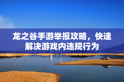 龙之谷手游举报攻略,快速解决游戏内违规行为 龙之谷手游举报攻略,快速解决游戏内违规行为