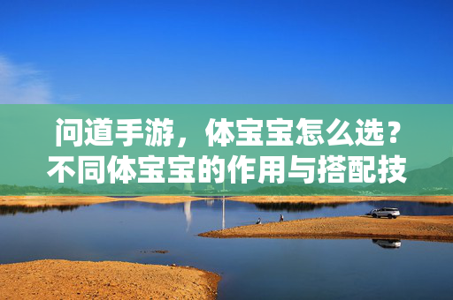 问道手游,体宝宝怎么选?不同体宝宝的作用与搭配技巧解析 问道手游,体宝宝怎么选?不同体宝宝的作用与搭配技巧解析