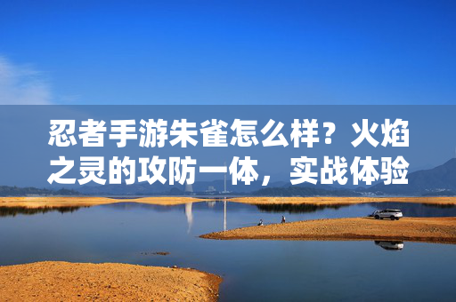 忍者手游朱雀怎么样?火焰之灵的攻防一体,实战体验深度解析 忍者手游朱雀怎么样?火焰之灵的攻防一体,实战体验深度解析