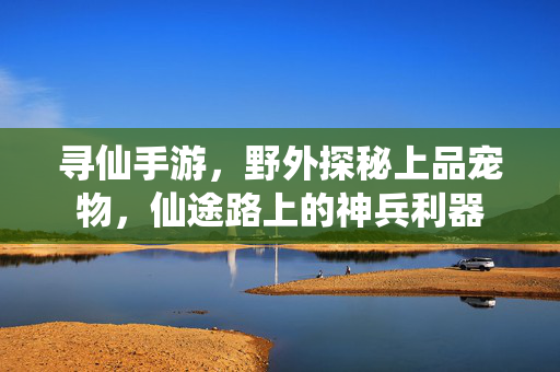 寻仙手游,野外探秘上品宠物,仙途路上的神兵利器 寻仙手游,野外探秘上品宠物,仙途路上的神兵利器