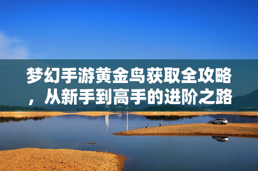 梦幻手游黄金鸟获取全攻略,从新手到高手的进阶之路 梦幻手游黄金鸟获取全攻略,从新手到高手的进阶之路