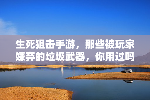 生死狙击手游,那些被玩家嫌弃的垃圾武器,你用过吗? 生死狙击手游,那些被玩家嫌弃的垃圾武器,你用过吗?