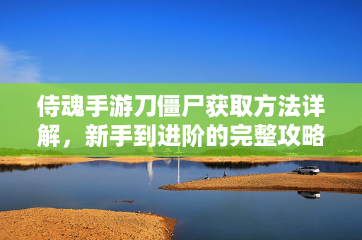 侍魂手游刀僵尸获取方法详解,新手到进阶的完整攻略 侍魂手游刀僵尸获取方法详解,新手到进阶的完整攻略
