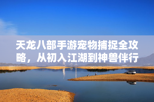 天龙八部手游宠物捕捉全攻略,从初入江湖到神兽伴行的养成之旅 天龙八部手游宠物捕捉全攻略,从初入江湖到神兽伴行的养成之旅