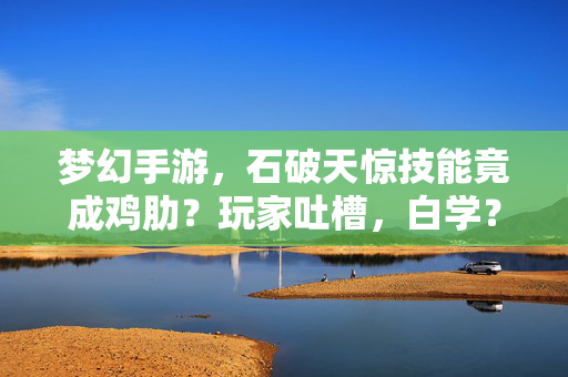 梦幻手游,石破天惊技能竟成鸡肋?玩家吐槽,白学? 梦幻手游,石破天惊技能竟成鸡肋?玩家吐槽,白学?
