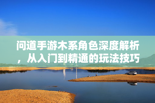 问道手游木系角色深度解析，从入门到精通的玩法技巧