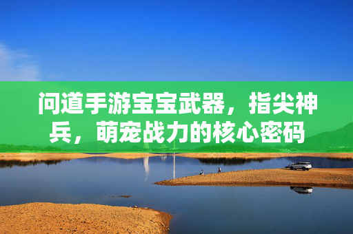 问道手游宝宝武器,指尖神兵,萌宠战力的核心密码 问道手游宝宝武器,指尖神兵,萌宠战力的核心密码
