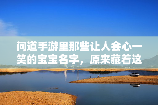 问道手游里那些让人会心一笑的宝宝名字,原来藏着这么多小趣味! 问道手游里那些让人会心一笑的宝宝名字,原来藏着这么多小趣味!