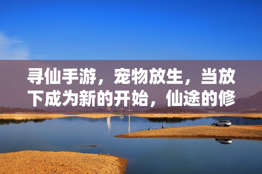 寻仙手游,宠物放生,当放下成为新的开始,仙途的修行不止于战斗 寻仙手游,宠物放生,当放下成为新的开始,仙途的修行不止于战斗
