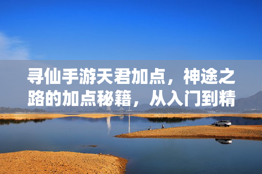 寻仙手游天君加点,神途之路的加点秘籍,从入门到精通的进阶指南 寻仙手游天君加点,神途之路的加点秘籍,从入门到精通的进阶指南