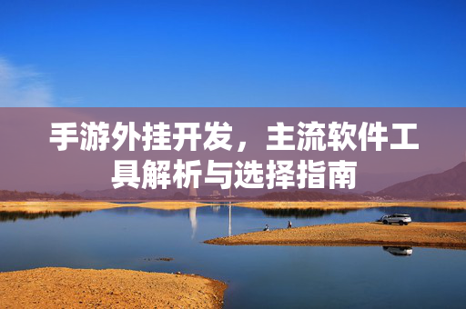 手游外挂开发,主流软件工具解析与选择指南 手游外挂开发,主流软件工具解析与选择指南