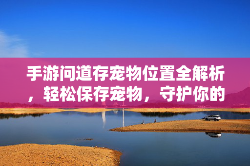 手游问道存宠物位置全解析,轻松保存宠物,守护你的神宠伙伴 手游问道存宠物位置全解析,轻松保存宠物,守护你的神宠伙伴