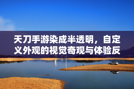 天刀手游染成半透明,自定义外观的视觉奇观与体验反思 天刀手游染成半透明,自定义外观的视觉奇观与体验反思