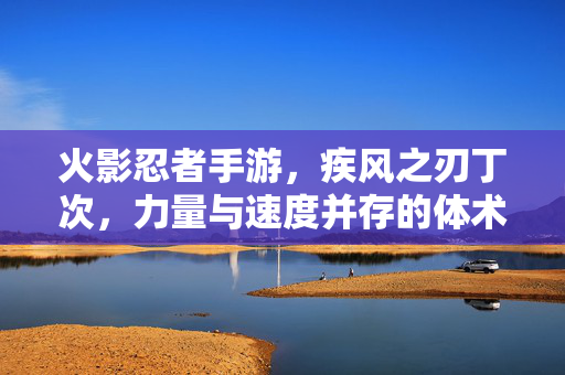 火影忍者手游,疾风之刃丁次,力量与速度并存的体术强者 火影忍者手游,疾风之刃丁次,力量与速度并存的体术强者