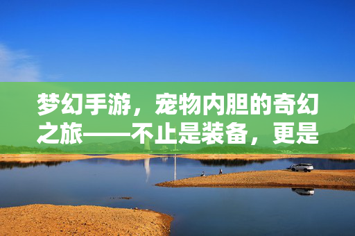 梦幻手游,宠物内胆的奇幻之旅——不止是装备,更是灵魂的延伸 梦幻手游,宠物内胆的奇幻之旅——不止是装备,更是灵魂的延伸
