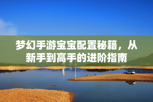 梦幻手游宝宝配置秘籍,从新手到高手的进阶指南 梦幻手游宝宝配置秘籍,从新手到高手的进阶指南