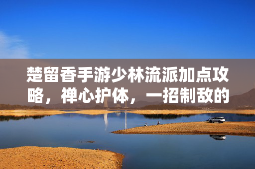 楚留香手游少林流派加点攻略，禅心护体，一招制敌的佛门武学之道