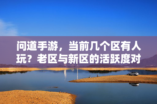 问道手游，当前几个区有人玩？老区与新区的活跃度对比及玩家选择指南