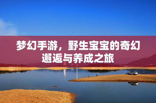 梦幻手游,野生宝宝的奇幻邂逅与养成之旅 梦幻手游,野生宝宝的奇幻邂逅与养成之旅