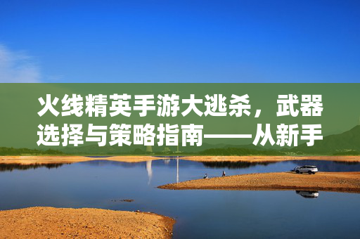 火线精英手游大逃杀,武器选择与策略指南——从新手到高手的关键武器解析 火线精英手游大逃杀,武器选择与策略指南——从新手到高手的关键武器解析