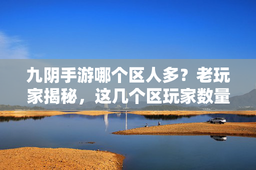 九阴手游哪个区人多?老玩家揭秘,这几个区玩家数量最多,新手入坑必看! 九阴手游哪个区人多?老玩家揭秘,这几个区玩家数量最多,新手入坑必看!