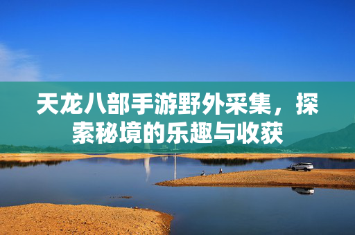 天龙八部手游野外采集,探索秘境的乐趣与收获 天龙八部手游野外采集,探索秘境的乐趣与收获