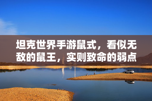 坦克世界手游鼠式,看似无敌的鼠王,实则致命的弱点解析 坦克世界手游鼠式,看似无敌的鼠王,实则致命的弱点解析