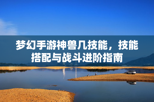 梦幻手游神兽几技能,技能搭配与战斗进阶指南 梦幻手游神兽几技能,技能搭配与战斗进阶指南