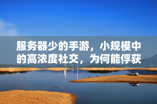 服务器少的手游,小规模中的高浓度社交,为何能俘获玩家心? 服务器少的手游,小规模中的高浓度社交,为何能俘获玩家心?