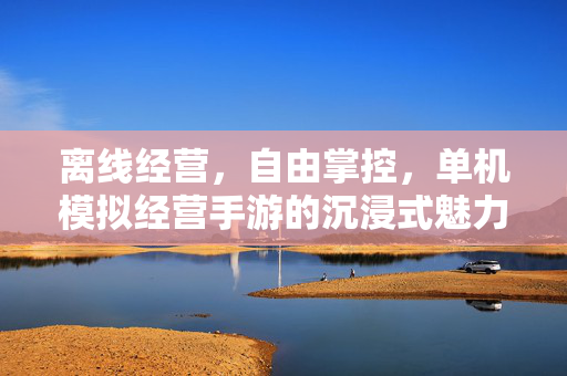 离线经营,自由掌控,单机模拟经营手游的沉浸式魅力 离线经营,自由掌控,单机模拟经营手游的沉浸式魅力