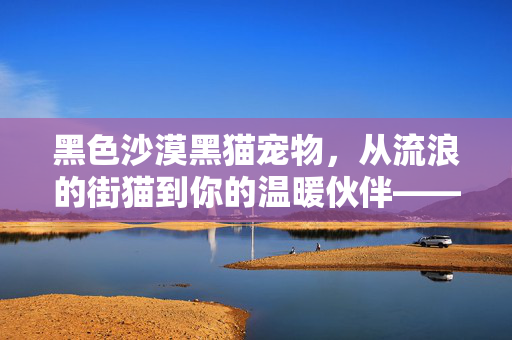黑色沙漠黑猫宠物,从流浪的街猫到你的温暖伙伴——游戏中的治愈系精灵 黑色沙漠黑猫宠物,从流浪的街猫到你的温暖伙伴——游戏中的治愈系精灵