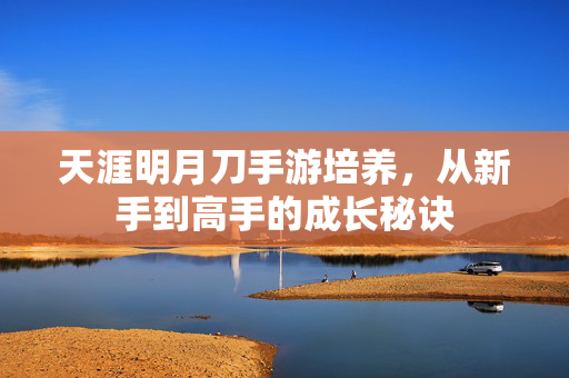天涯明月刀手游培养,从新手到高手的成长秘诀 天涯明月刀手游培养,从新手到高手的成长秘诀