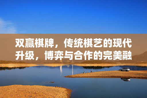 双赢棋牌,传统棋艺的现代升级,博弈与合作的完美融合——在游戏中遇见更好的自己,成就共同精彩 双赢棋牌,传统棋艺的现代升级,博弈与合作的完美融合——在游戏中遇见更好的自己,成就共同精彩