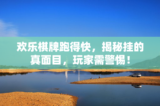欢乐棋牌跑得快，揭秘挂的真面目，玩家需警惕！