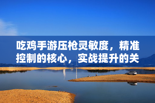 吃鸡手游压枪灵敏度,精准控制的核心,实战提升的关键 吃鸡手游压枪灵敏度,精准控制的核心,实战提升的关键