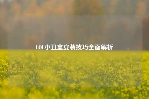 LOL小丑盒安装技巧全面解析