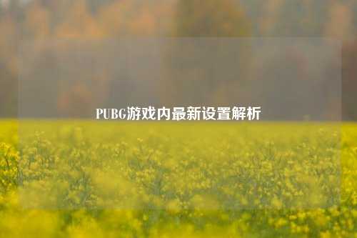 PUBG游戏内最新设置解析