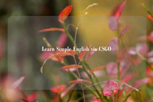 Learn Simple English via CSGO