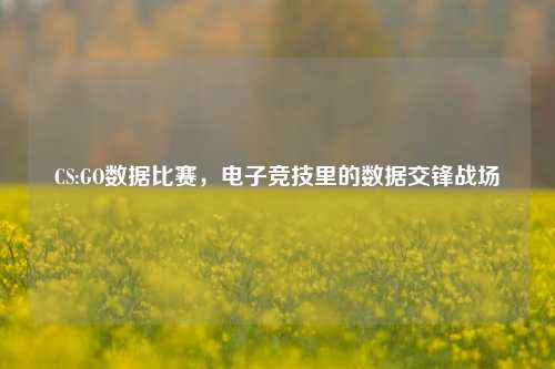 CS:GO数据比赛，电子竞技里的数据交锋战场