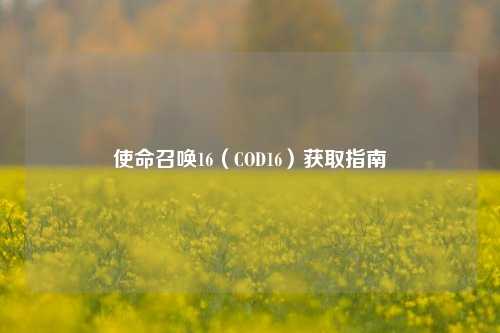 使命召唤16（COD16）获取指南