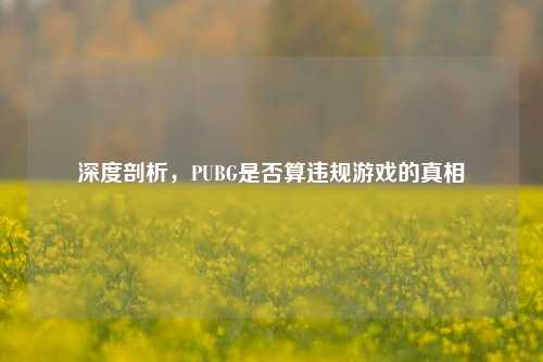 深度剖析，PUBG是否算违规游戏的真相