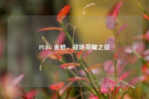PUBG 金枪，战场荣耀之征