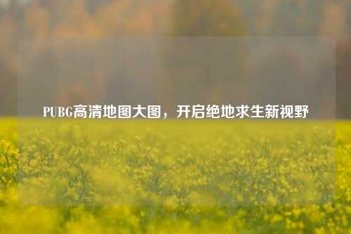 PUBG高清地图大图，开启绝地求生新视野